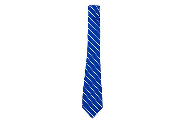 Shani school uniform